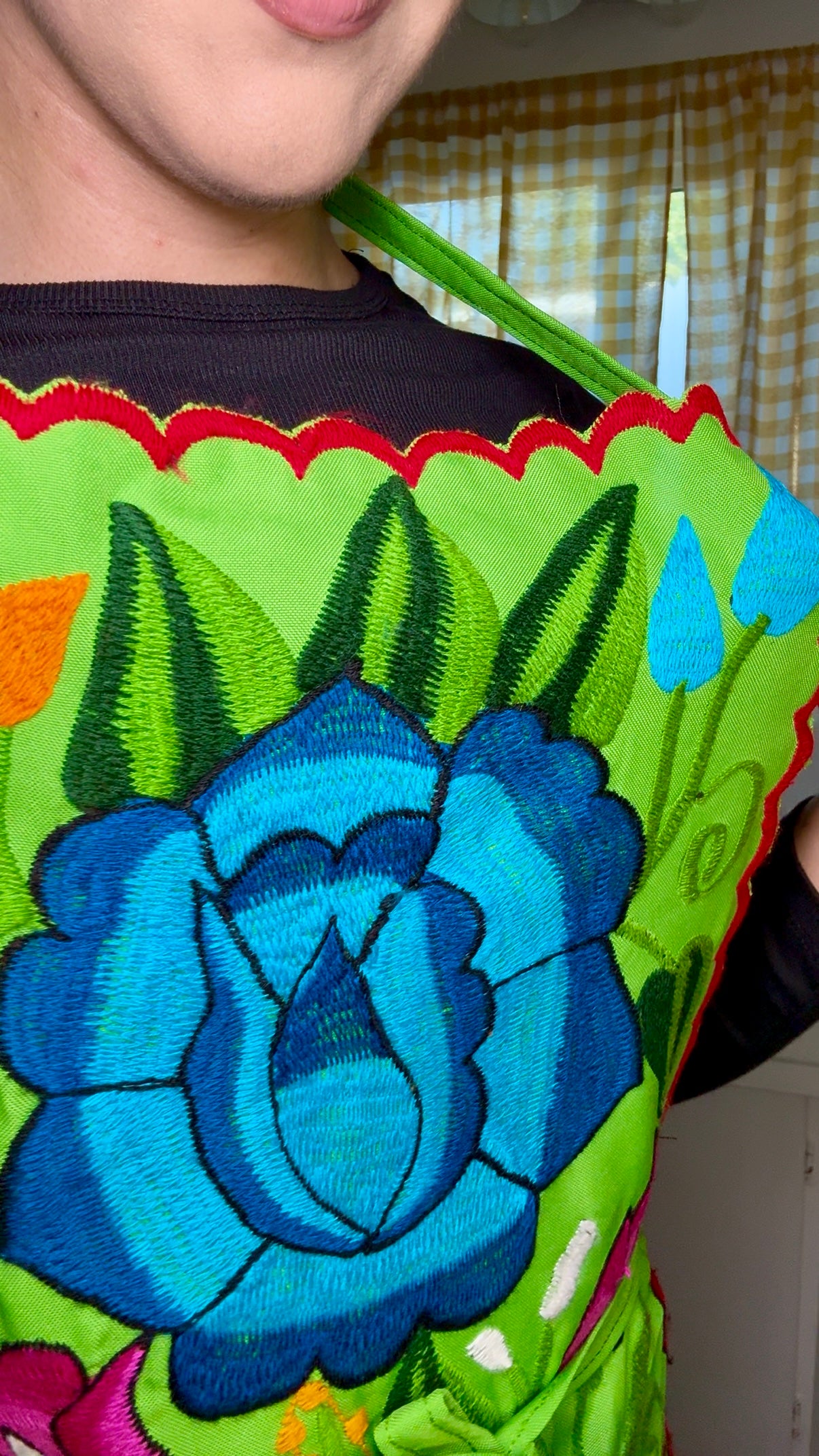 Green/Verde Mexican Embroidery Apron